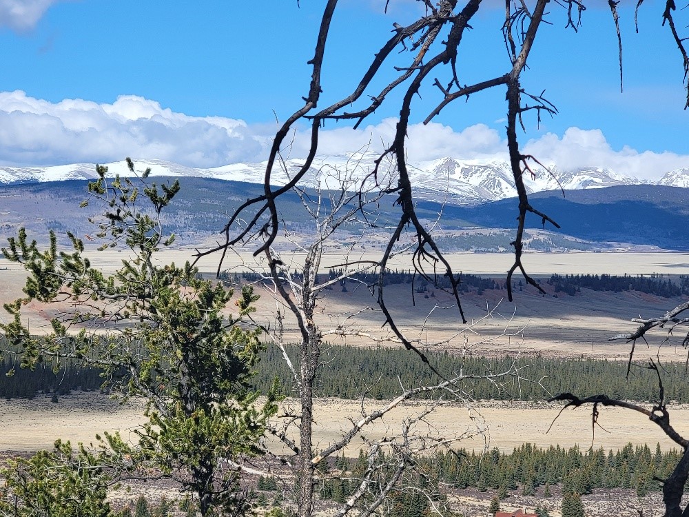 1411 Middle Fork Fairplay CO 80440