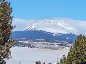 1411 Middle Fork Fairplay CO 80440