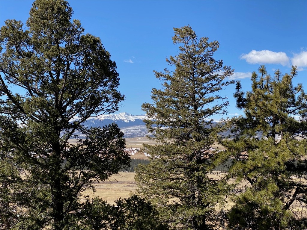 1411 Middle Fork Fairplay CO 80440