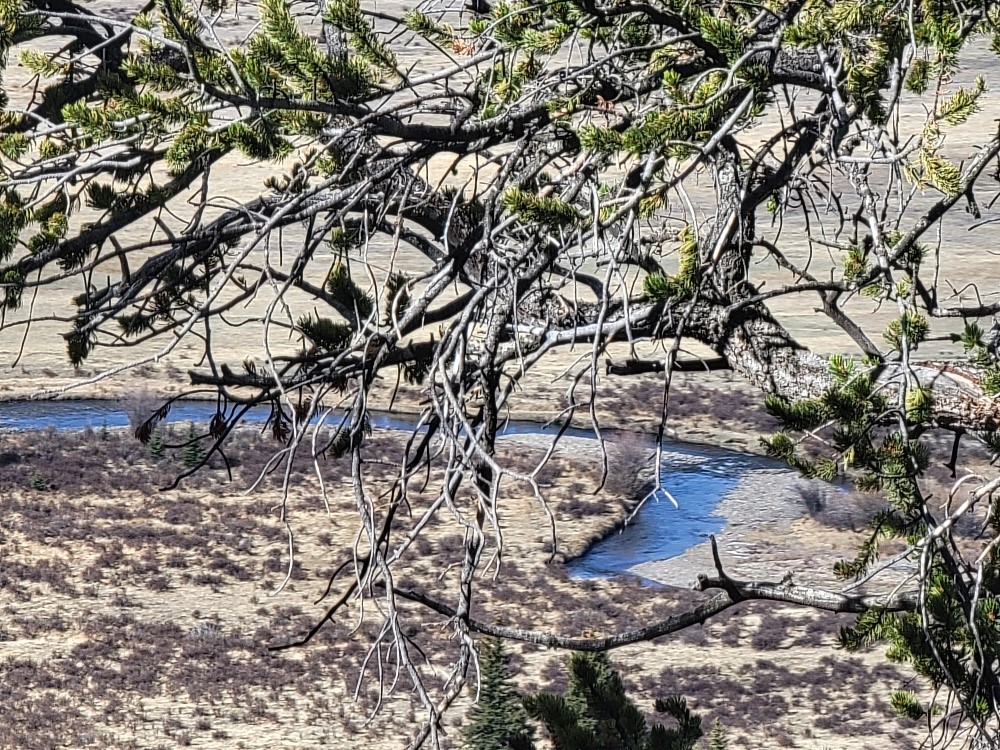 1411 Middle Fork Fairplay CO 80440