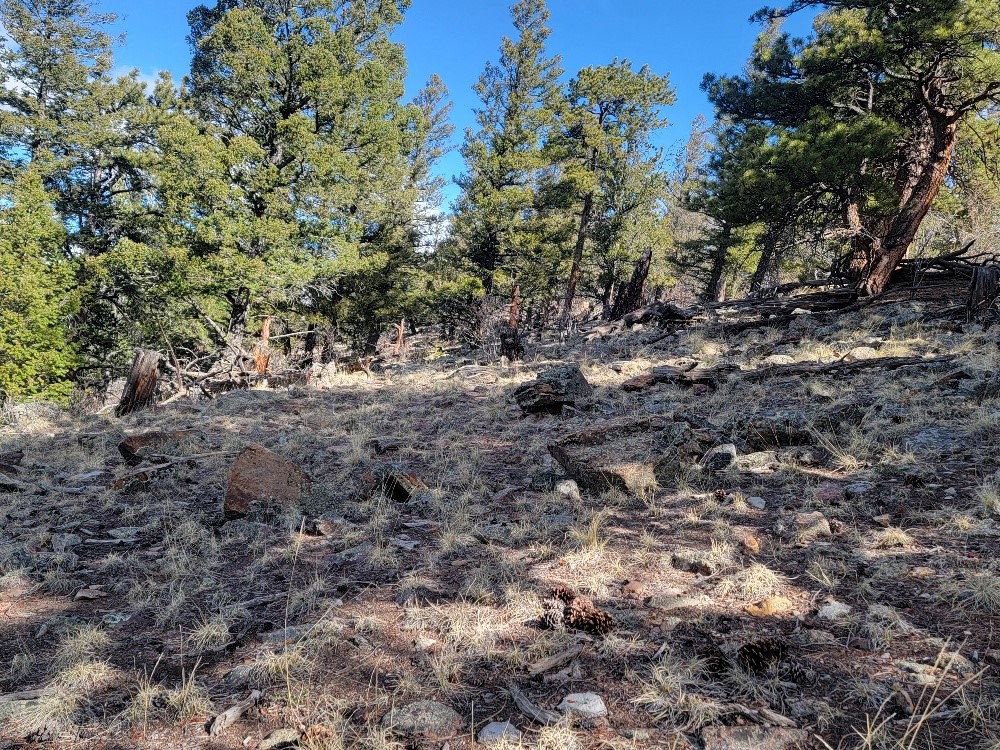 1411 Middle Fork Fairplay CO 80440