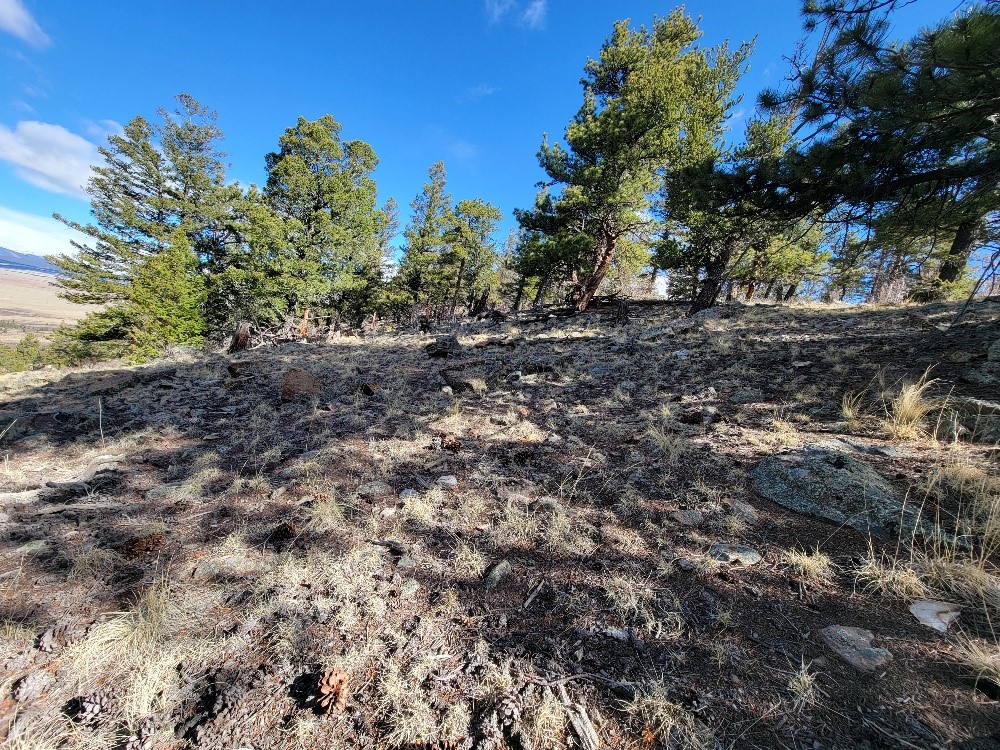 1411 Middle Fork Fairplay CO 80440