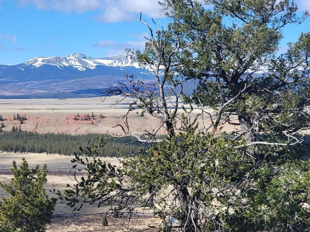 1411 Middle Fork Fairplay CO 80440