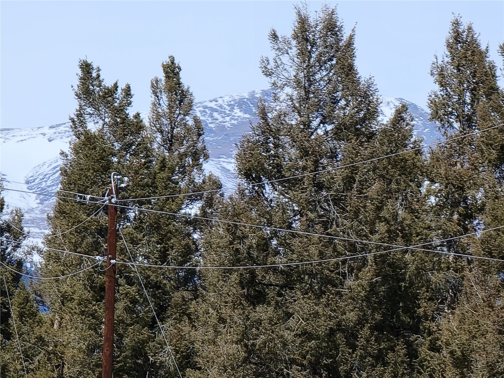 1411 Middle Fork Fairplay CO 80440