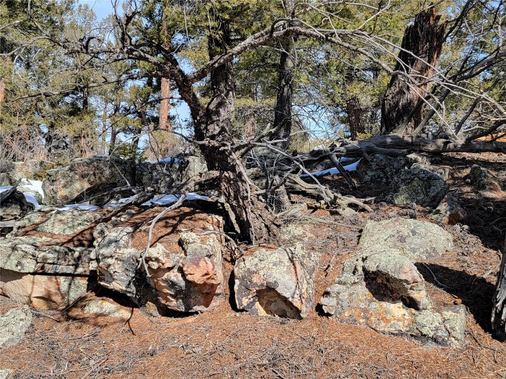 1411 Middle Fork Fairplay CO 80440