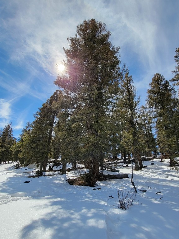 1411 Middle Fork Fairplay CO 80440