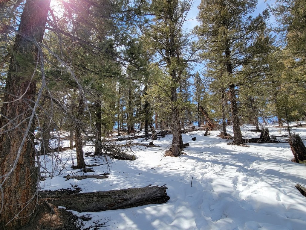 1411 Middle Fork Fairplay CO 80440