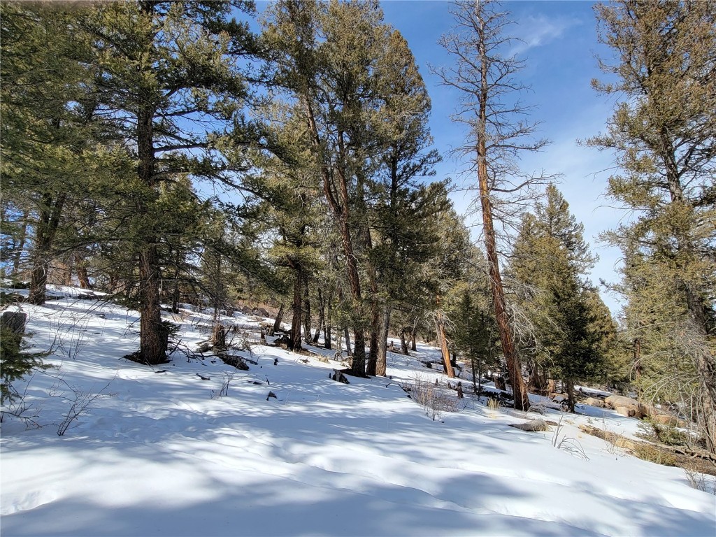 1411 Middle Fork Fairplay CO 80440