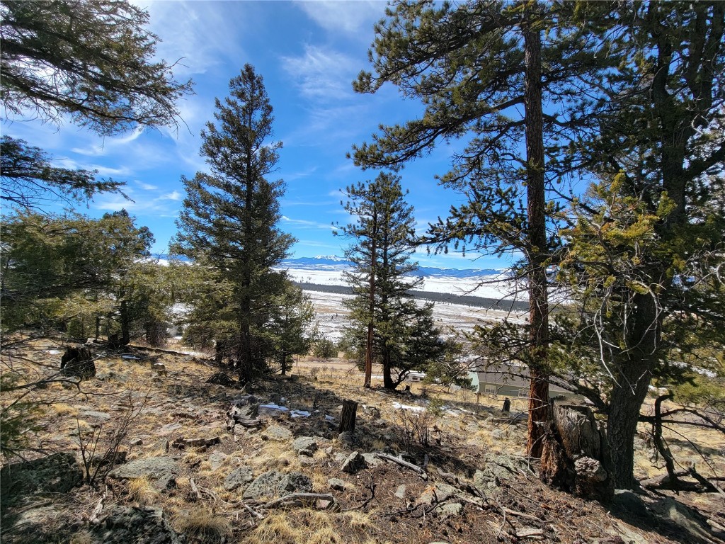 1411 Middle Fork Fairplay CO 80440