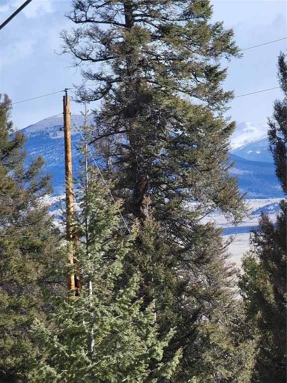 1411 Middle Fork Fairplay CO 80440