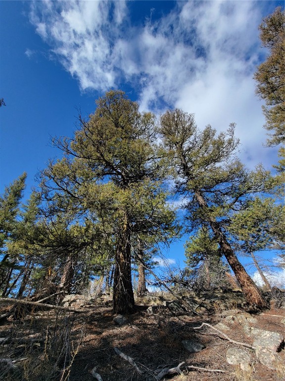 1411 Middle Fork Fairplay CO 80440