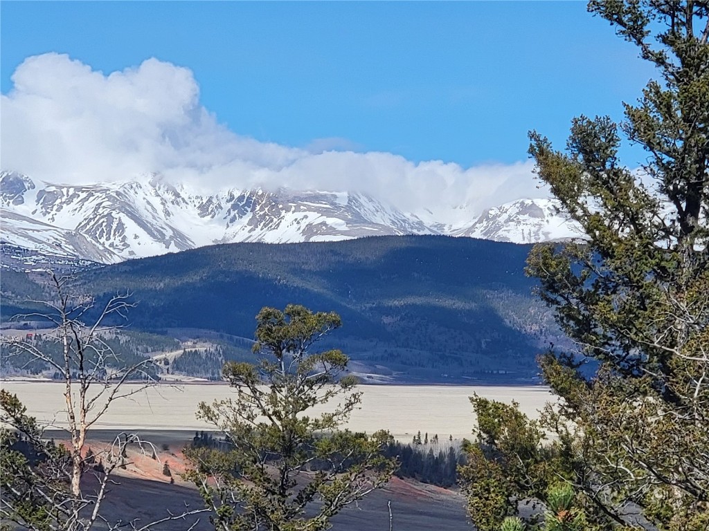 1411 Middle Fork Fairplay CO 80440