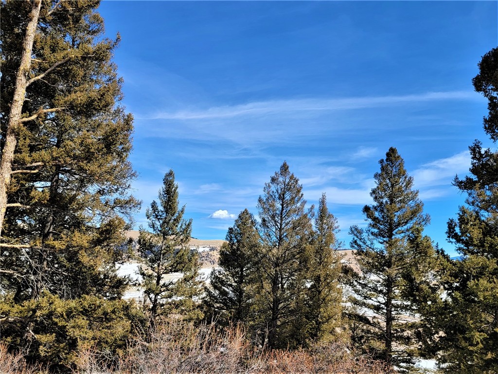 1411 Middle Fork Fairplay CO 80440
