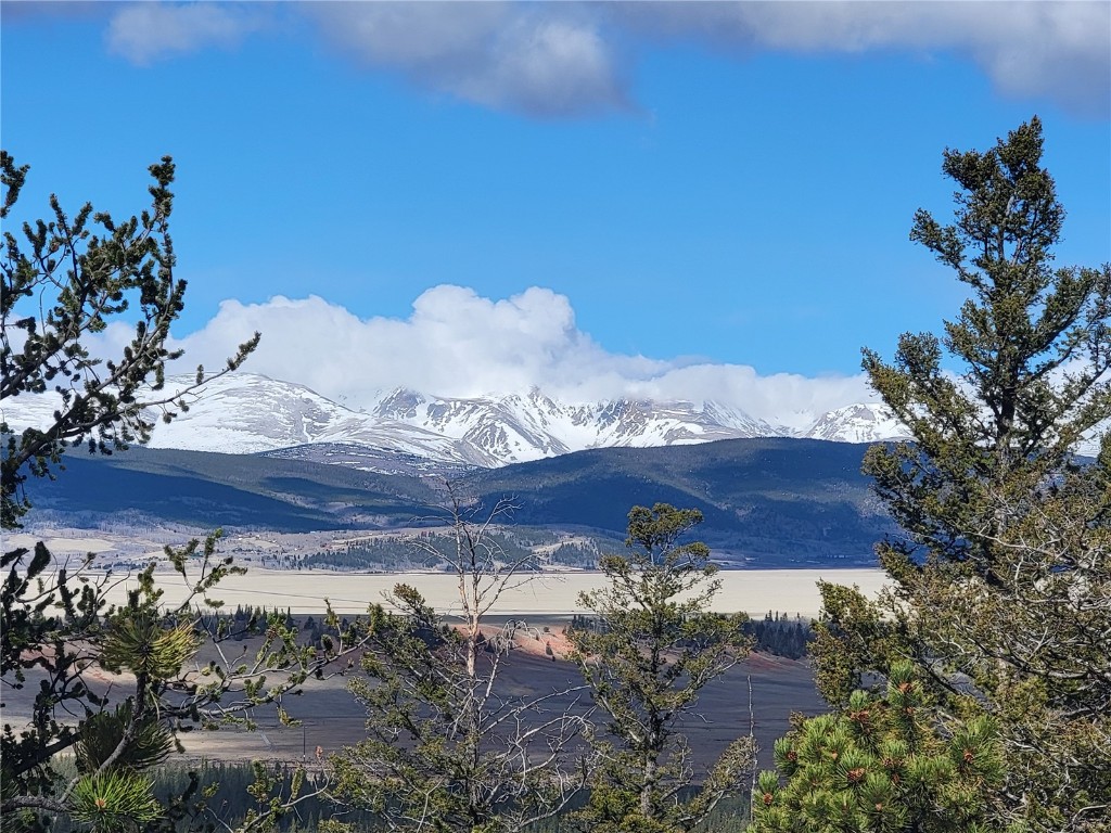 1411 Middle Fork Fairplay CO 80440