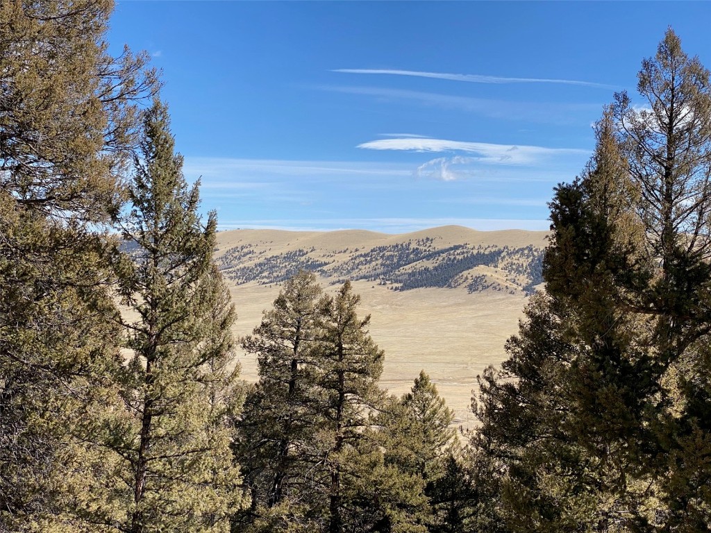 1411 Middle Fork Fairplay CO 80440