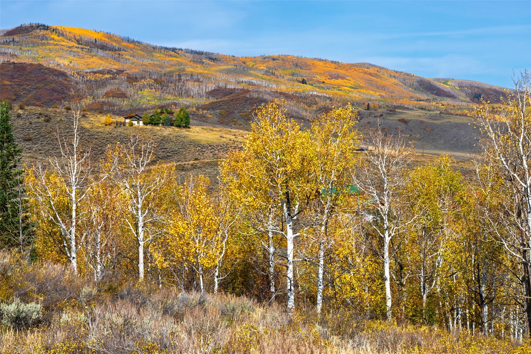 23335 Postrider Trail Oak Creek CO 80467