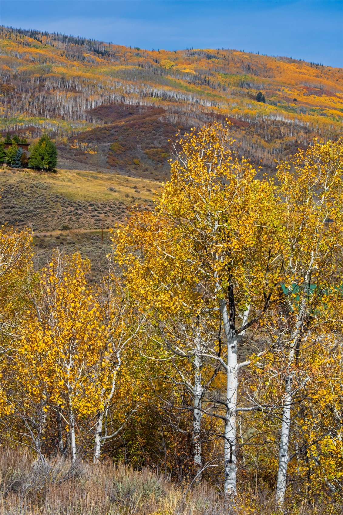 23335 Postrider Trail Oak Creek CO 80467