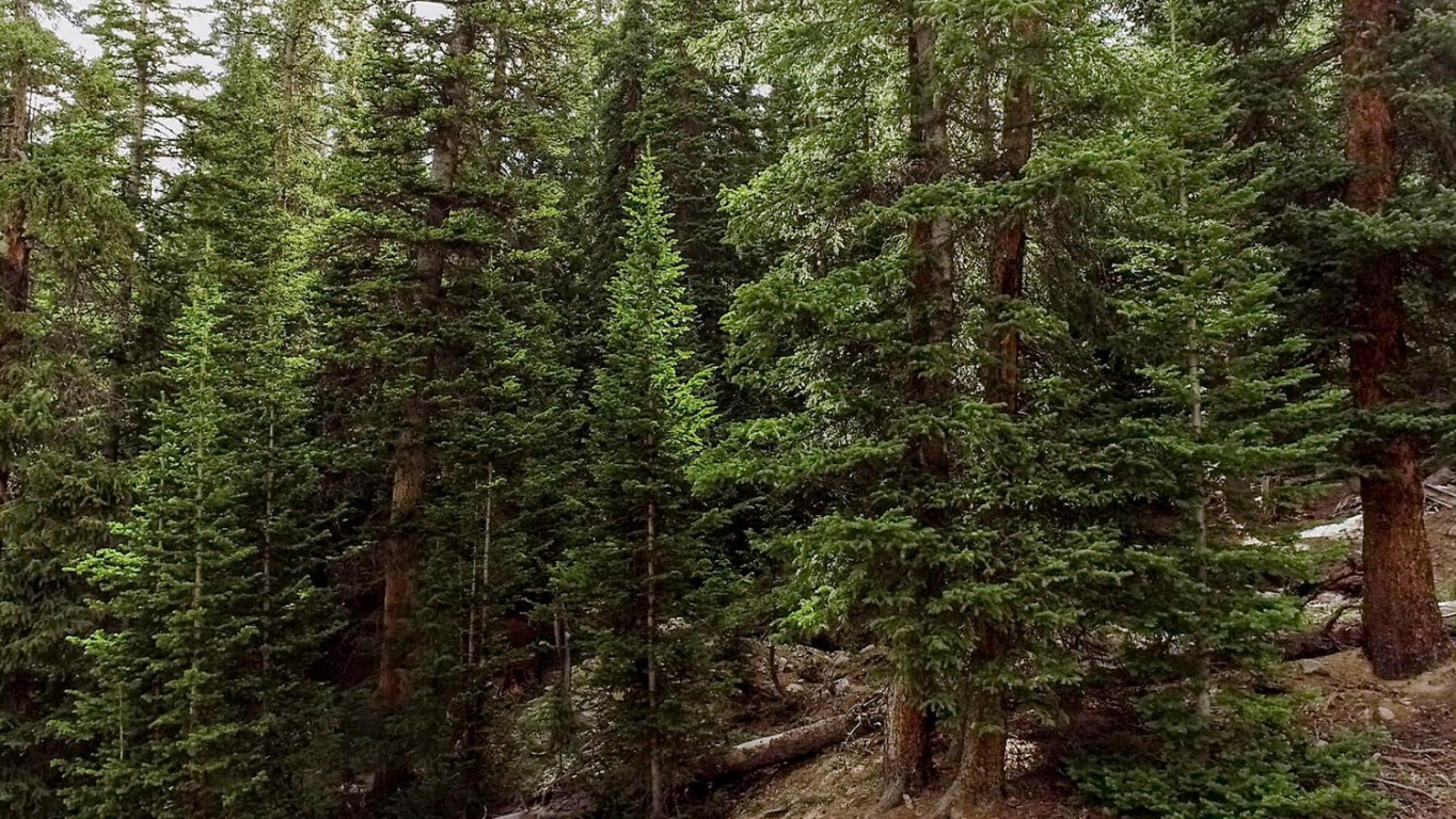 156 Cr 674 Breckenridge CO 80424
