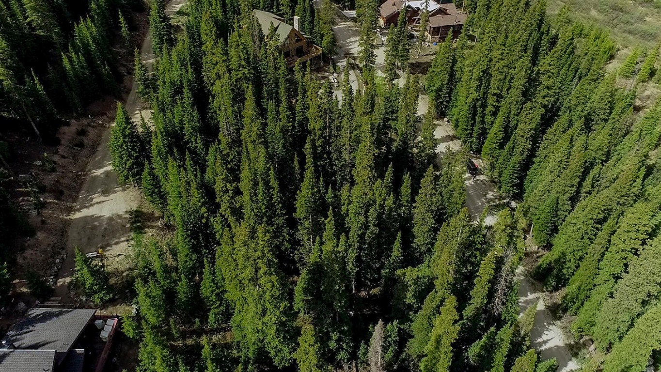 156 Cr 674 Breckenridge CO 80424