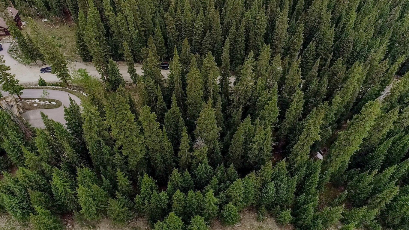 156 Cr 674 Breckenridge CO 80424