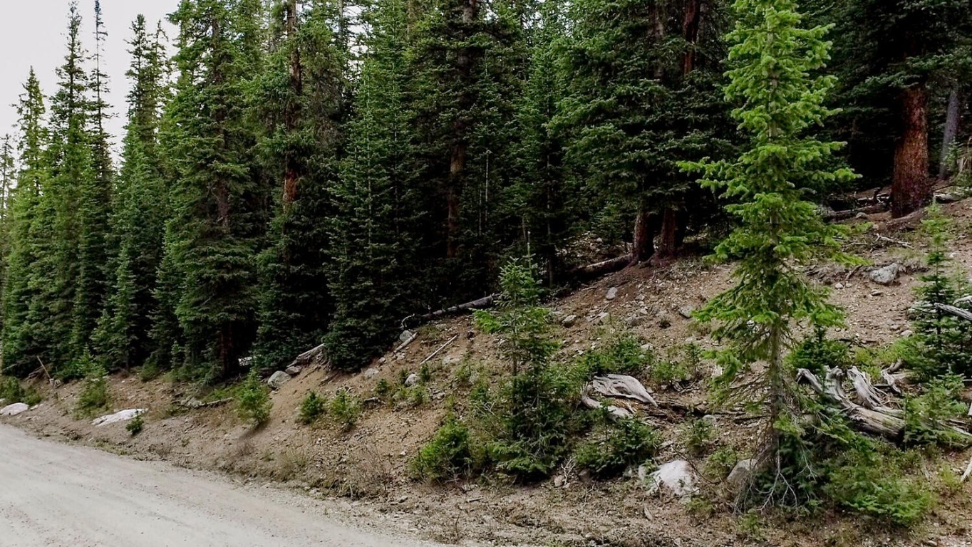 156 Cr 674 Breckenridge CO 80424