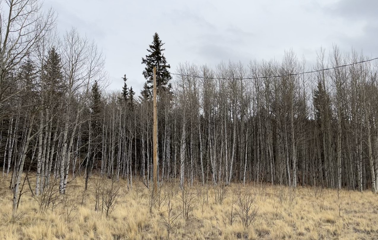 688 Ouray Trail Como CO 80432