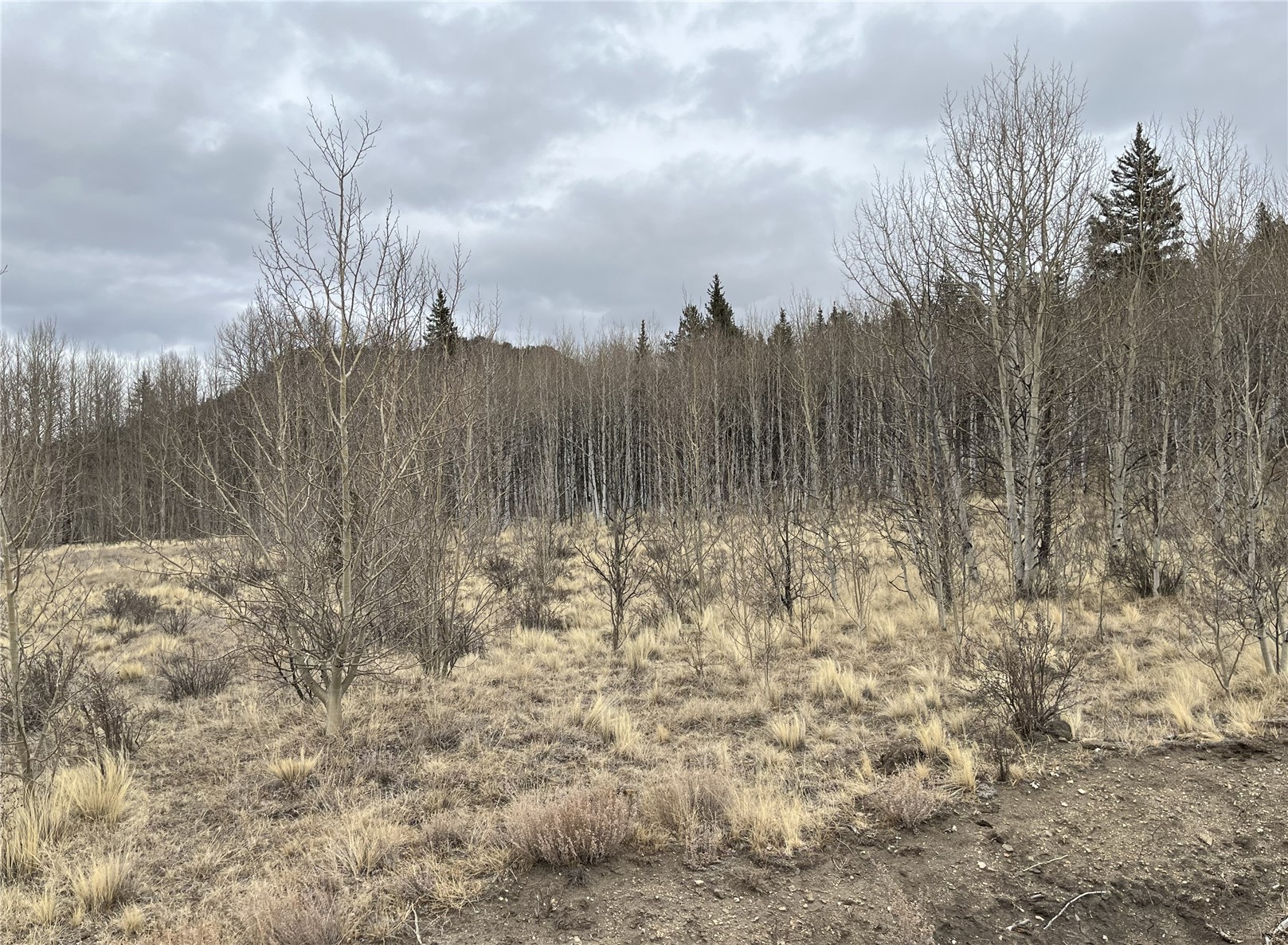 688 Ouray Trail Como CO 80432