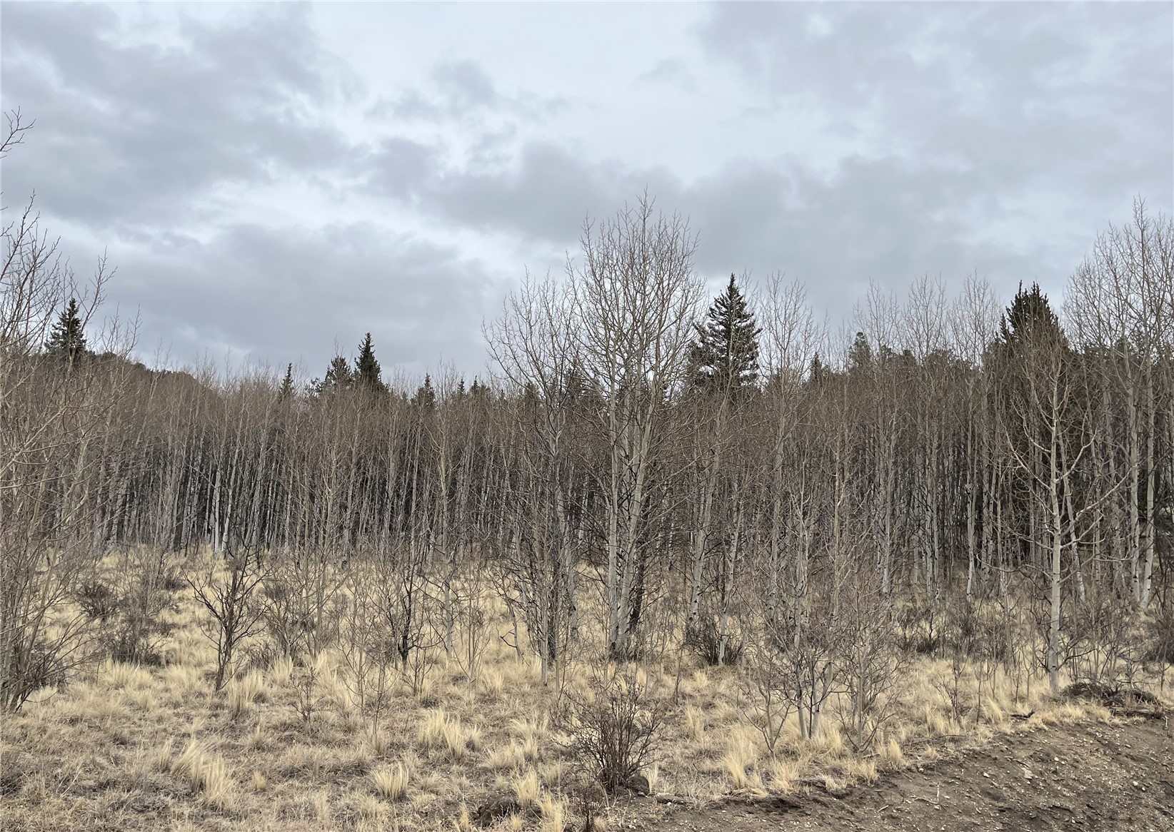 688 Ouray Trail Como CO 80432