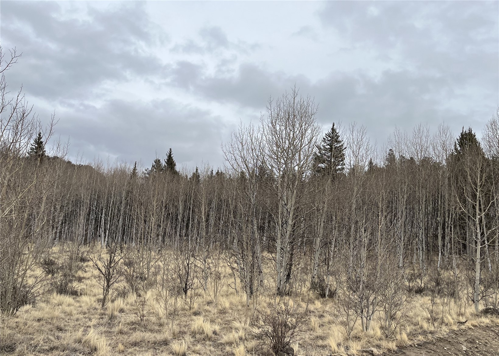 688 Ouray Trail Como CO 80432