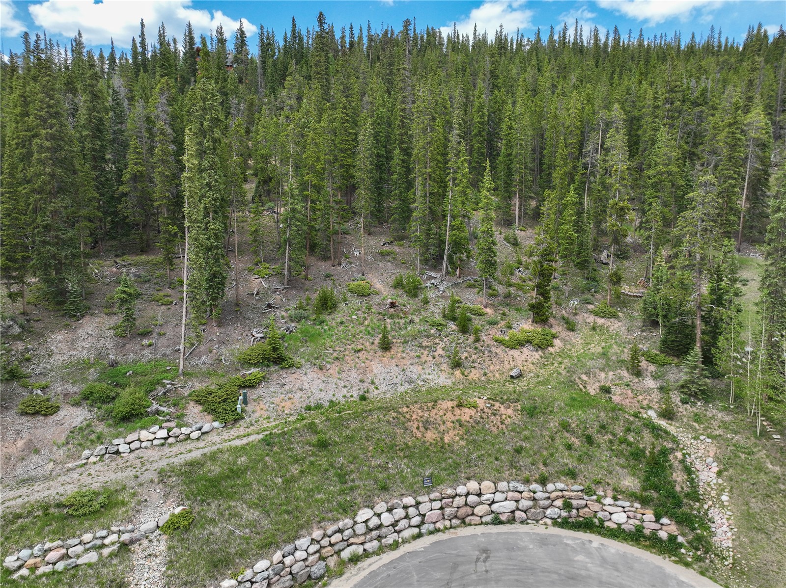 217 Goldenview Drive Breckenridge CO 80424