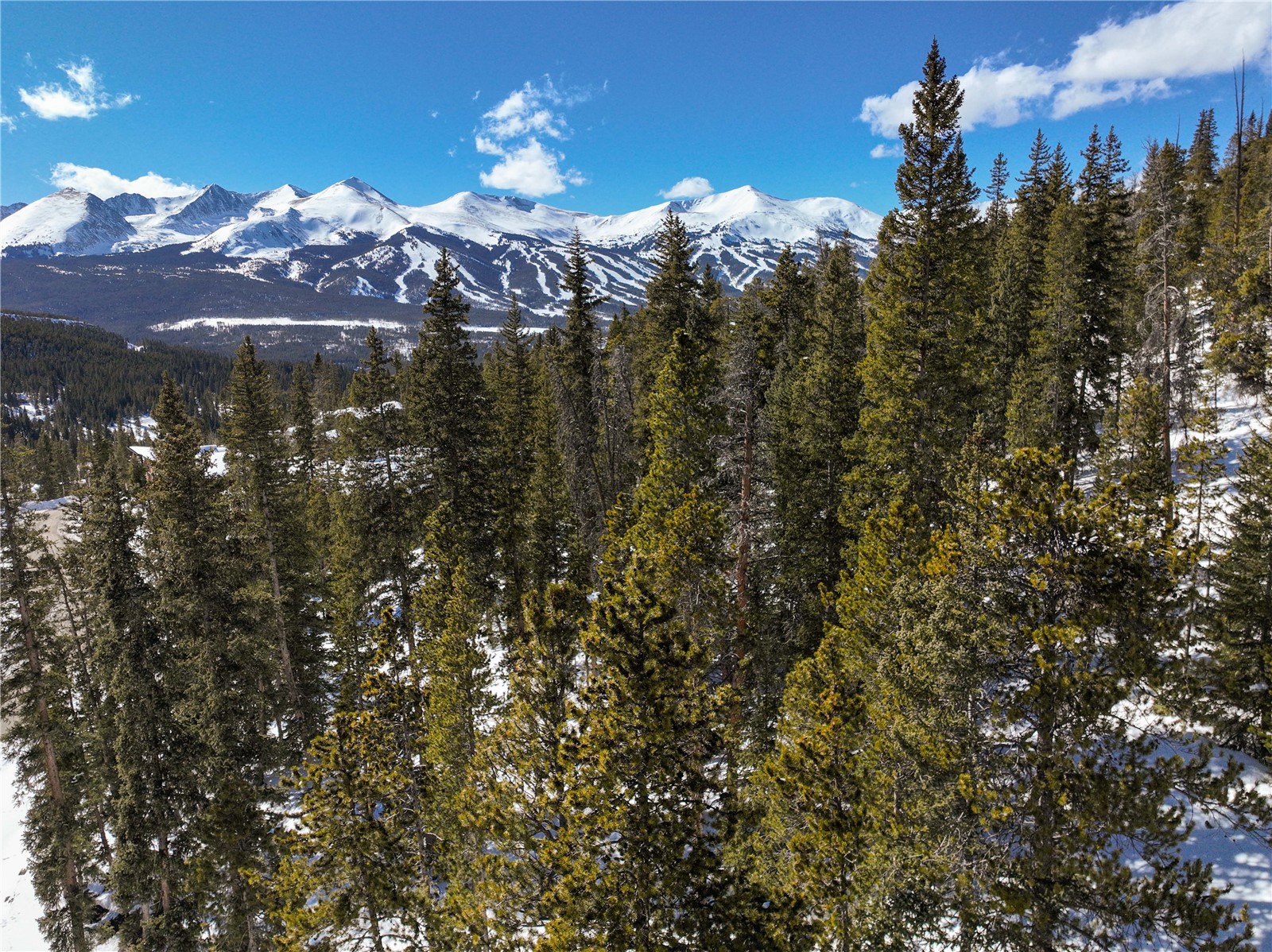217 Goldenview Drive Breckenridge CO 80424