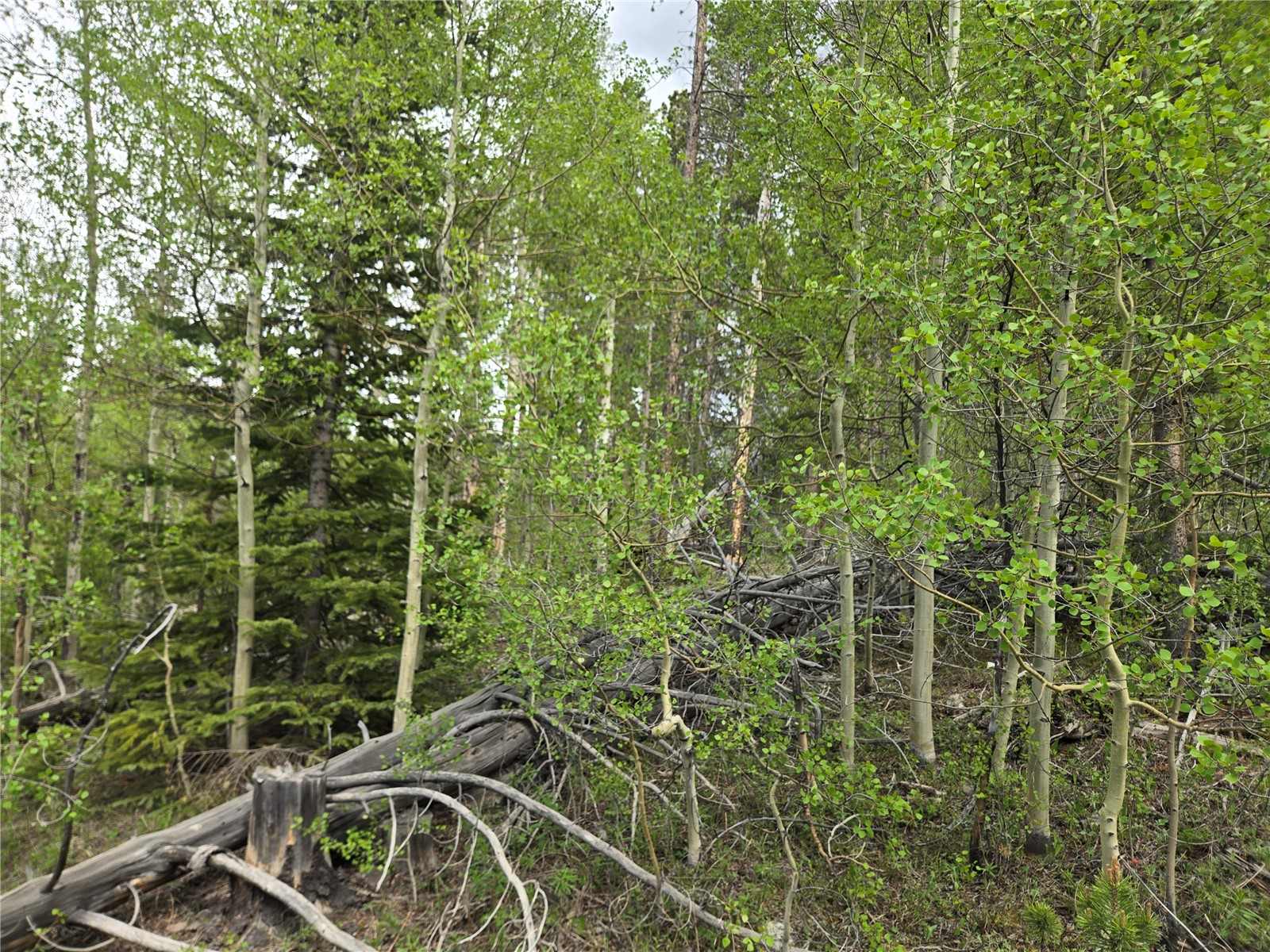 1299 American Way Breckenridge CO 80424