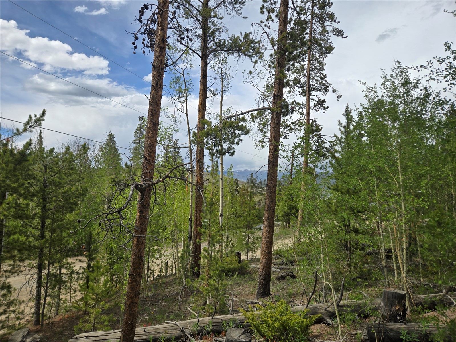 1299 American Way Breckenridge CO 80424