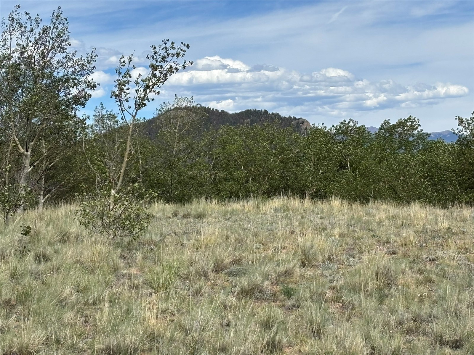 135 Hawk Way Como CO 80432