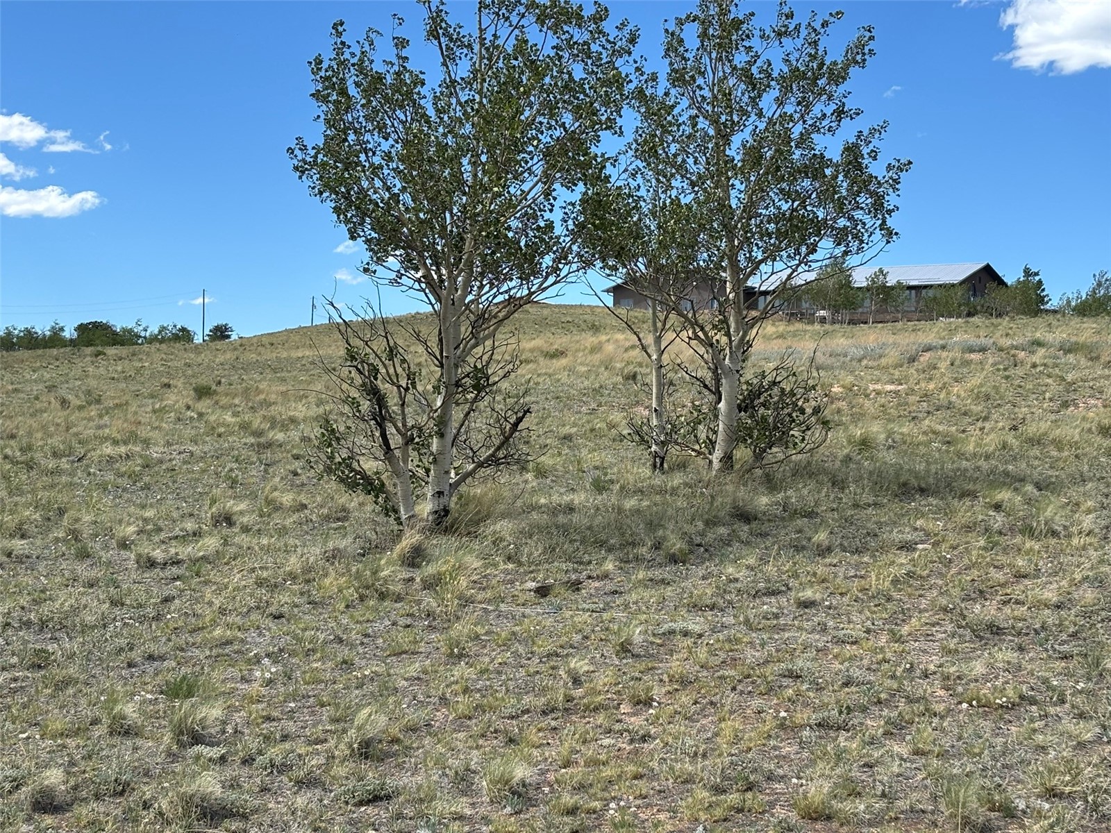 135 Hawk Way Como CO 80432