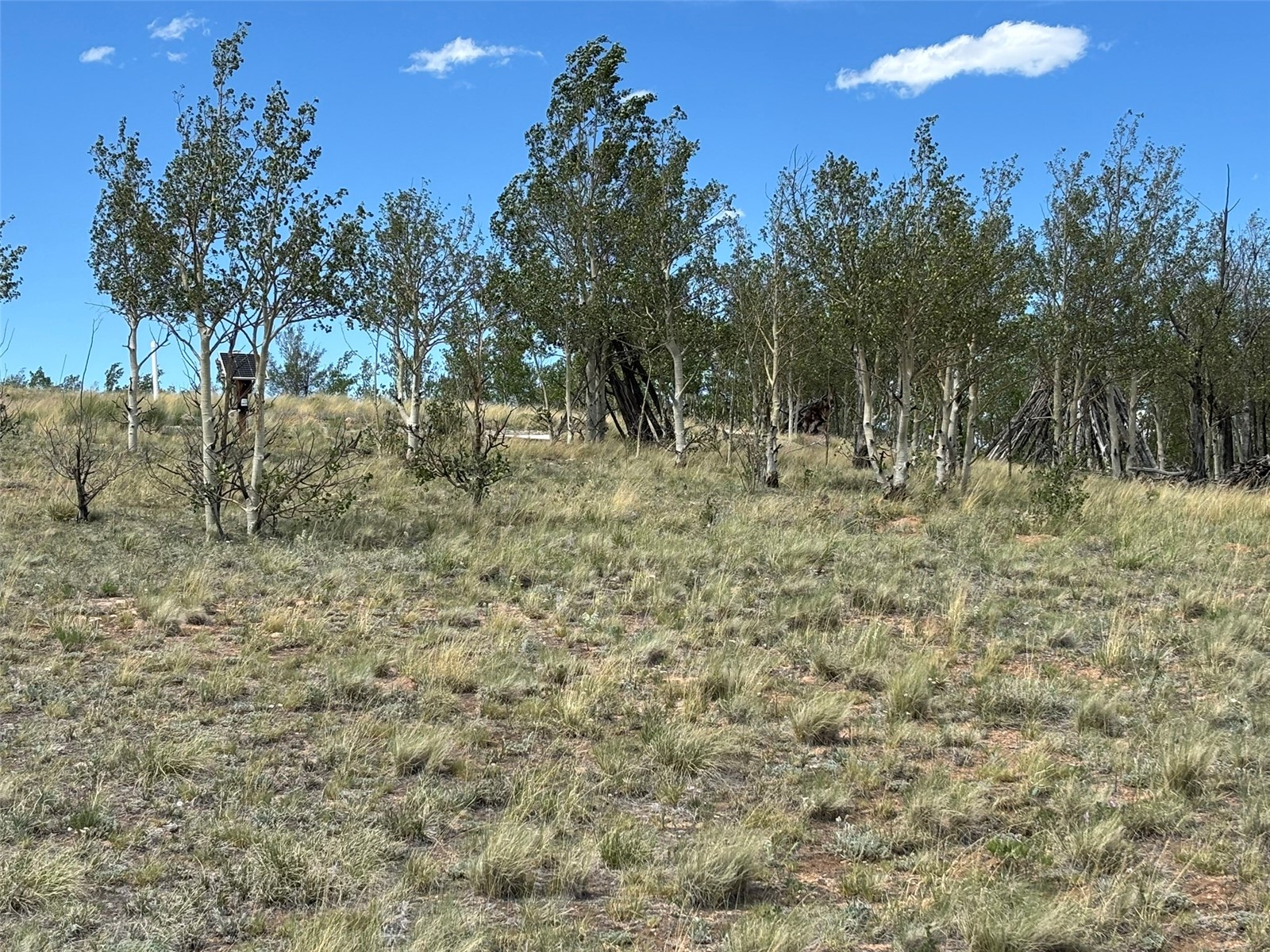135 Hawk Way Como CO 80432