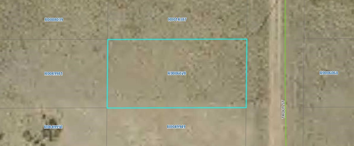 00000 Trout Street Hartsel CO 80449