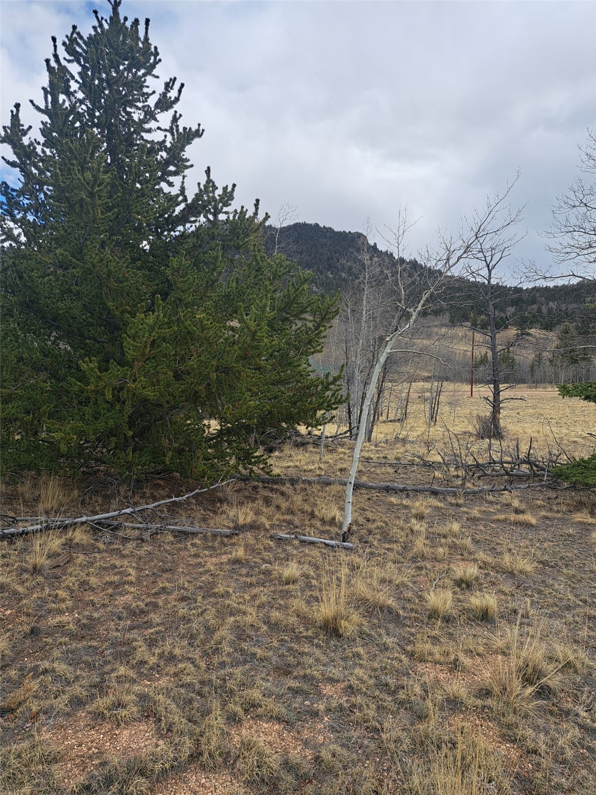 000 Kiowa Street Como CO 80432