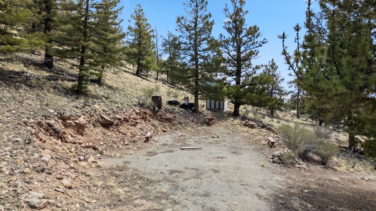 2120 Bonell Drive Fairplay CO 80440