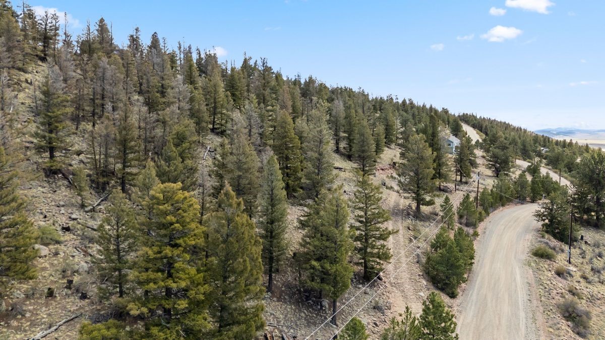 2120 Bonell Drive Fairplay CO 80440