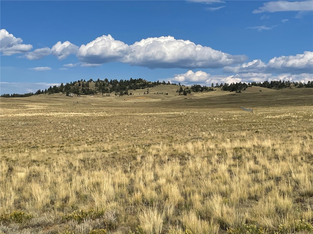 000 Athapascan Road Hartsel CO 80449