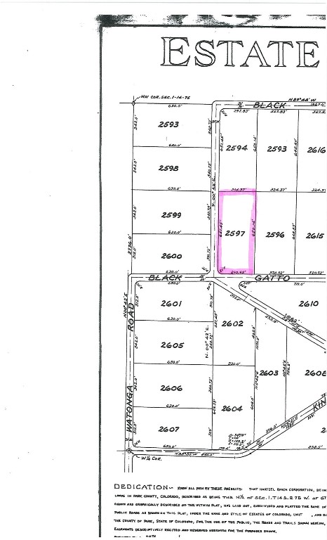 217 Black Gatto Trail Hartsel CO 80449
