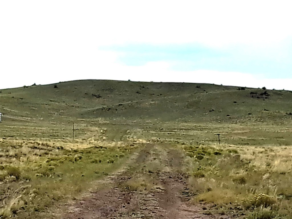 217 Black Gatto Trail Hartsel CO 80449