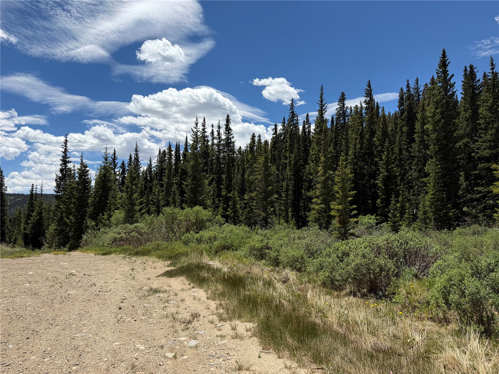 0 Cliff's Way Alma CO 80420