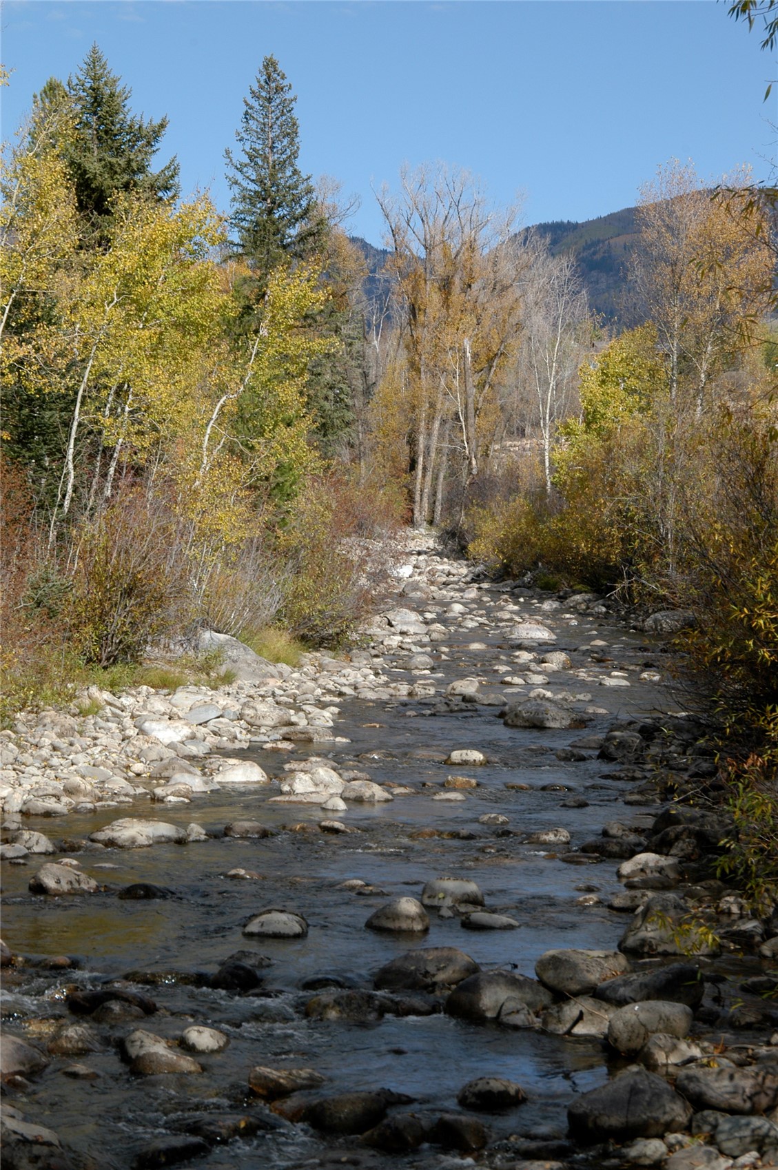 900 Angels View Way Steamboat Springs CO 80487
