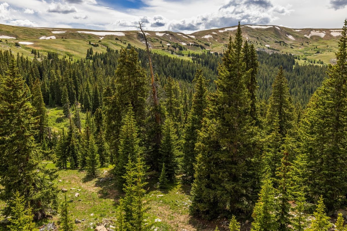Tbd Saints Johns Road Montezuma CO 80435