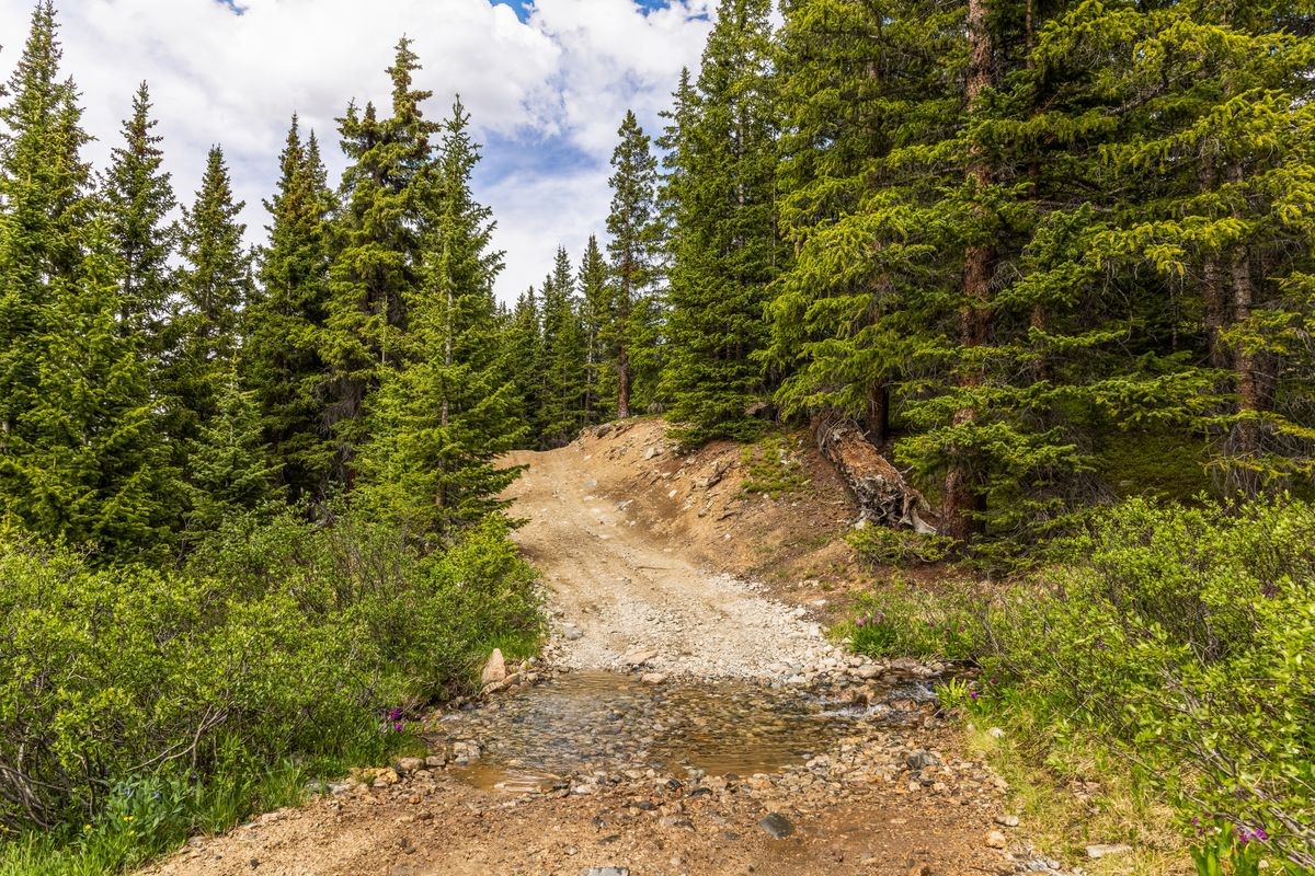 Tbd Saints Johns Road Montezuma CO 80435
