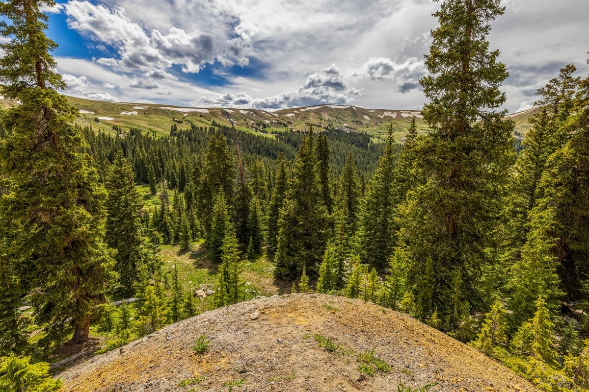 Tbd Saints Johns Road Montezuma CO 80435