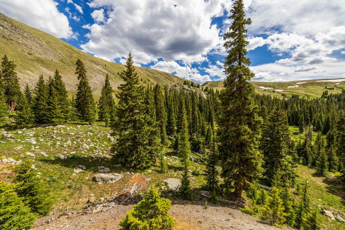 Tbd Saints Johns Road Montezuma CO 80435