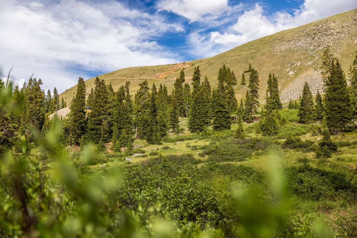 Tbd Saints Johns Road Montezuma CO 80435